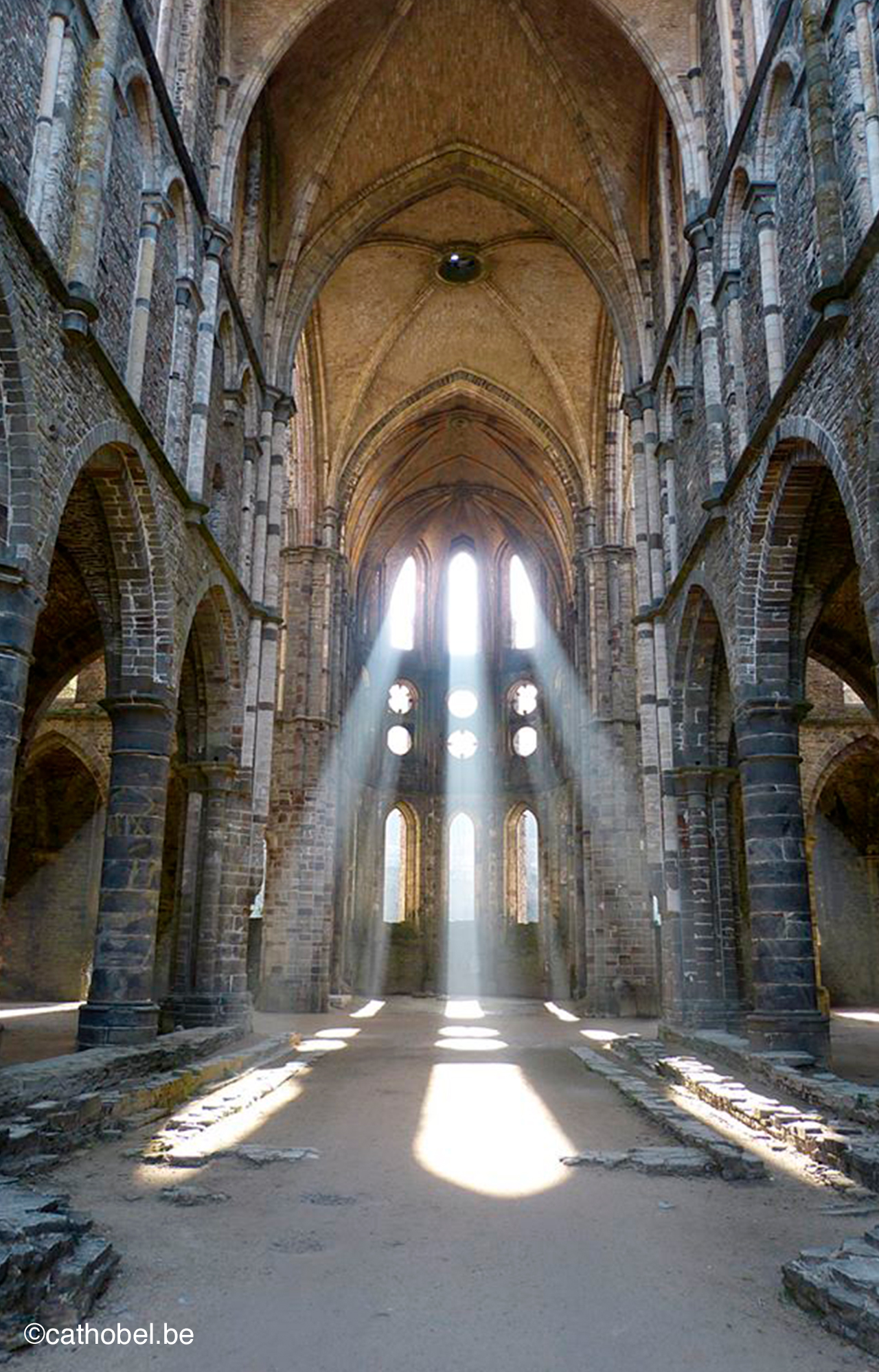 Photo des ruines de l'Abbaye de Villers-la-Ville